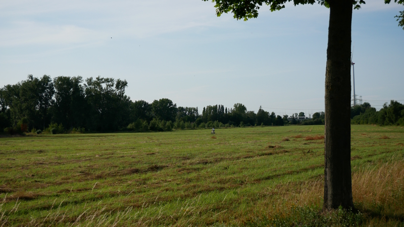 Nature Landscape 1