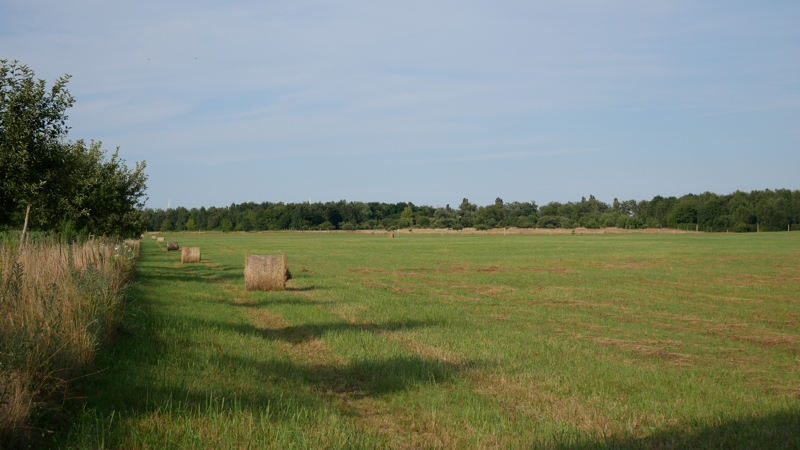 Nature Landscape 2
