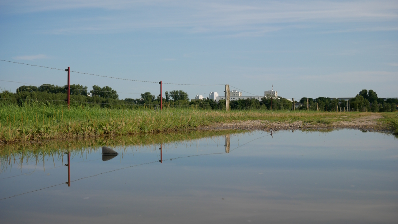 Nature Landscape 4